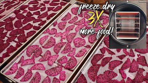 This Freeze Dryer tip will TRIPLE your shelf space!!
