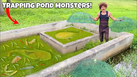 Catching POND MONSTERS With SEWER FISH TRAP!