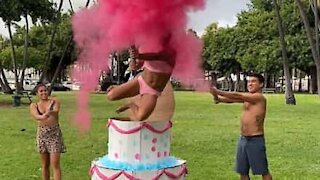 This gender reveal is straight-up hilarious!