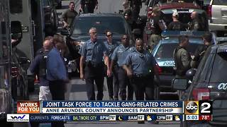 Anne Arundel County creates joint task force to combat gang-related crimes