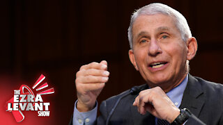 Professor calls to extend hate crimes to include criticism of Fauci