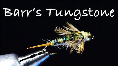 Barr's Tungstone - Realistic Stonefly Nymph Tied by Charlie Craven