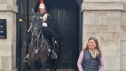 Horse has its own way of making the tourist leave #horseguardsparade