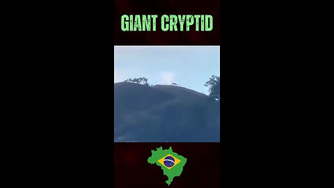 Giant Cryptid Caught on Camera: Brazil's Newest Fitness Guru?