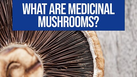 What are medicinal mushrooms? 🍄