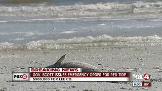 Governor Scott declares state of emergency due to red tide in Florida