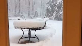 Time-lapse durante una bufera mostra l'accumularsi della neve