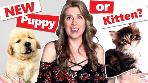 NEW TIPS for Adopting a Puppy or Kitten