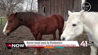 Horses swept away by floodwaters in southern Johnson County