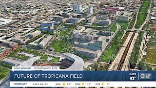 St. Pete leaders push pause on Tropicana Field redevelopment
