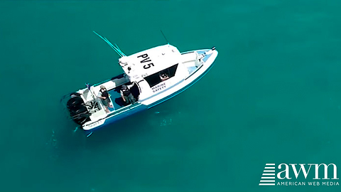 Aerial Footage Compares The Size Of This Boat To What Some Are Calling Largest Shark Ever