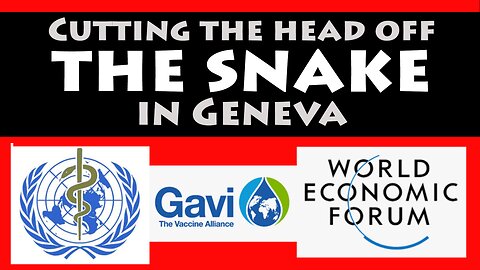 Cutting The Head Off The Snake in GENEVA