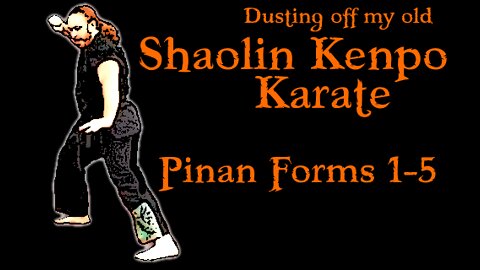 Dusting Off My Old Kenpo Forms (part 1): Pinan 1 - 5 | Shaolin Kenpo Karate