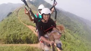Dog goes paragliding for the first time!