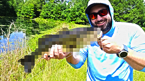 Big Bass Fishing an Untouched Pond!