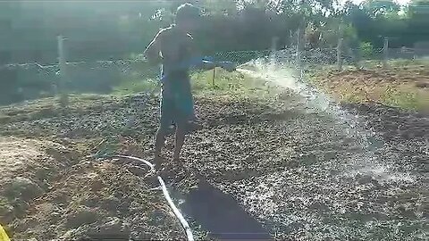 Watering the soil