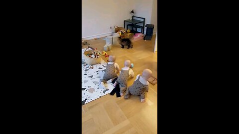 cute babies playing