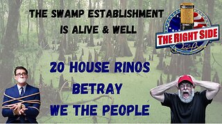 Twenty House RINOs Betrayed We The People