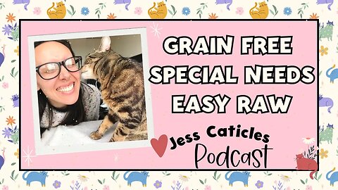 Good and bad cat food ingredients, special needs, and easy raw feeding