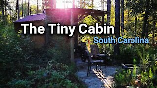 My little cabin in the woods