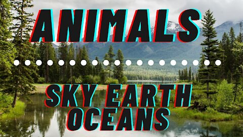 Animals Sky Earth Oceans