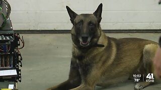Kansas State Highway Patrol training K-9s to help with fentanyl detection