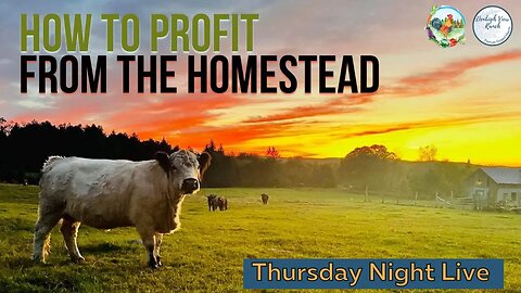 How to Profit from the Homestead