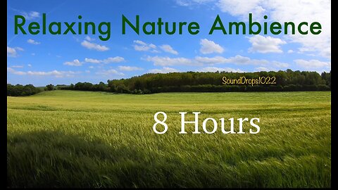Full Workday Serenade: 8 Hours of Grass Field Ambience