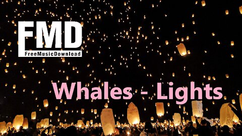 Whales - Lights. Free music for youtube videos [FMD Release]