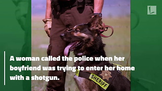 Watch: Hero K9 Officer Snatches Loaded Shotgun Away From Suspect's Hand