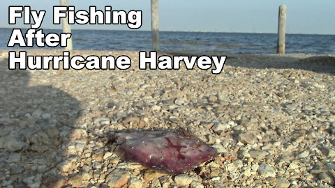 Fishing after Hurricane Harvey! - Gulf of Mexico in Texas - McFly Angler Episode 34