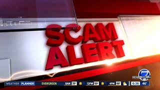 Better Business Bureau warns of scholarship scams