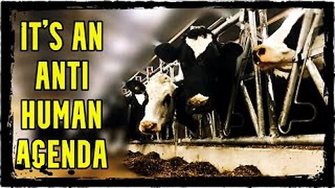 The Shocking Truth Governments' Unjustified Annihilation of Farm Life for Illusory Causes