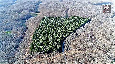 Greek drone captures mystical forest of Hercules