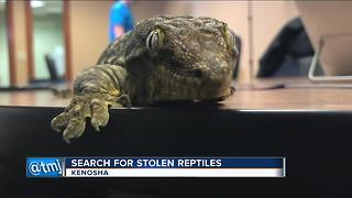 Over two dozen reptiles stolen from Kenosha home