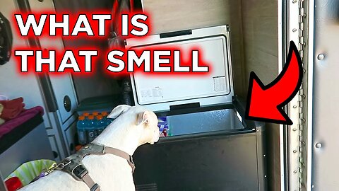 Why Does My Rig Smell Like A GIANT Pickle? | Fleet Feast | Ambulance Conversion Life