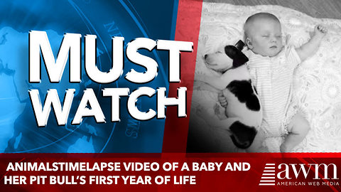 animalsTimelapse Video Of A Baby And Her Pit Bull’s First Year Of Life