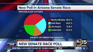 New Senate race poll shows McSally in the lead for Republicans
