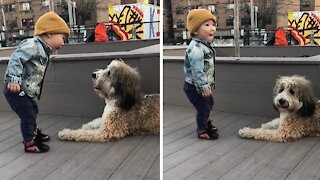 Toddler Meets a Puppy for First Time Due to Pandemic