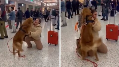 Pup Ecstatic To Be Reunited With Owner After 3 Months Apart