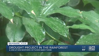 The Biosphere 2 in Tucson is experimenting how rainforests adapt to a drought