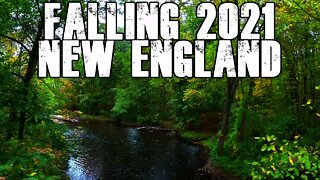 Falling (Cinematic FPV) New England Foliage Report W/E 10/09/2021