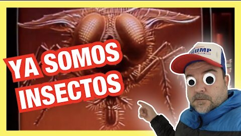 NOS QUIEREN HACER INSECTOS