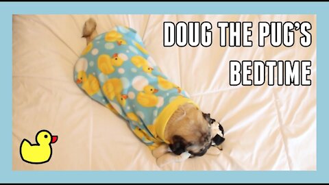 Doug the Pug's Bedtime