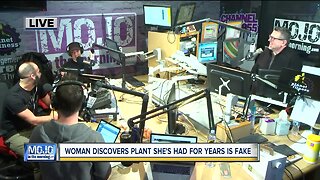 Mojo in the Morning: Woman discovers plant she's had for years is fake