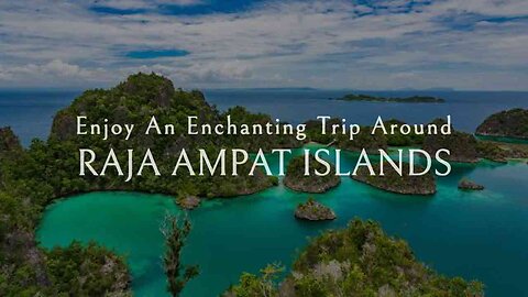 Hear and See the Paradise: Trip to Raja Ampat Islands in Indonesia | Splendid Nature | lush greenery