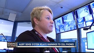 Alert sense system relays warnings to cell phones