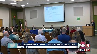 Blue Green Algae Task Force met in Naples