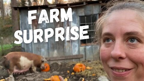 A Farm Thanksgiving Surprise!