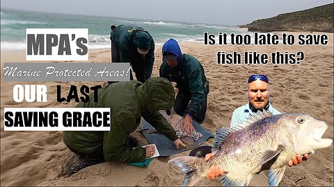 RECREATIONAL ANGLERS, Are we Depleting the fish? HOW TO TAG AND HANDLE FISH PROPERLY!